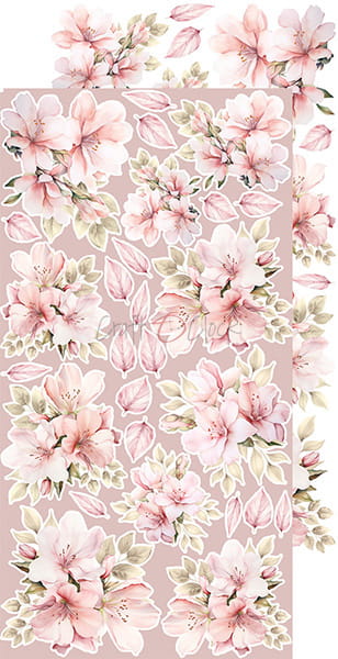 GIRL & CURL - FLOWERS & MY FIRST YEAR - EXTRAS SET BY CRAFT O'CLOCK