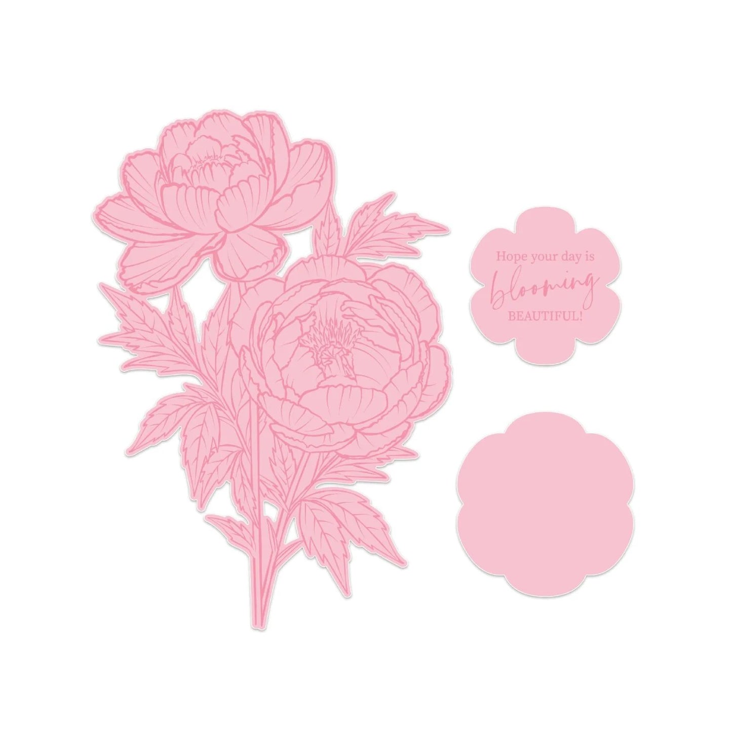 CHLOES CREATIVE CARDS DIE & STAMP SET -PEONY