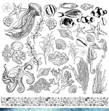 SALTWATER 12" X 12" COLLECTION PACK - BEE ARTY