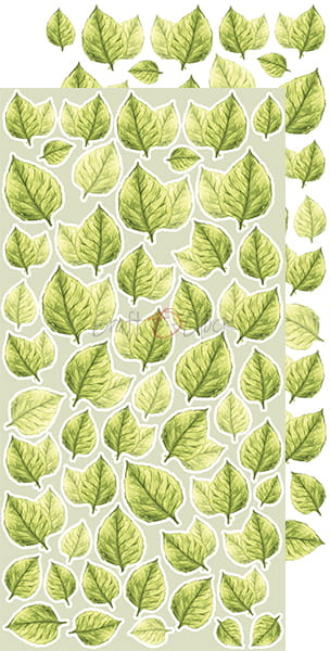 BASIC LEAVES SET#4 - BIG LEAVES - SET BY CRAFT O'CLOCK