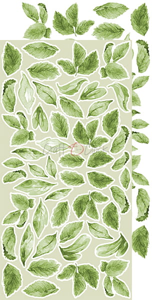 BASIC LEAVES SET#4 - BIG LEAVES - SET BY CRAFT O'CLOCK