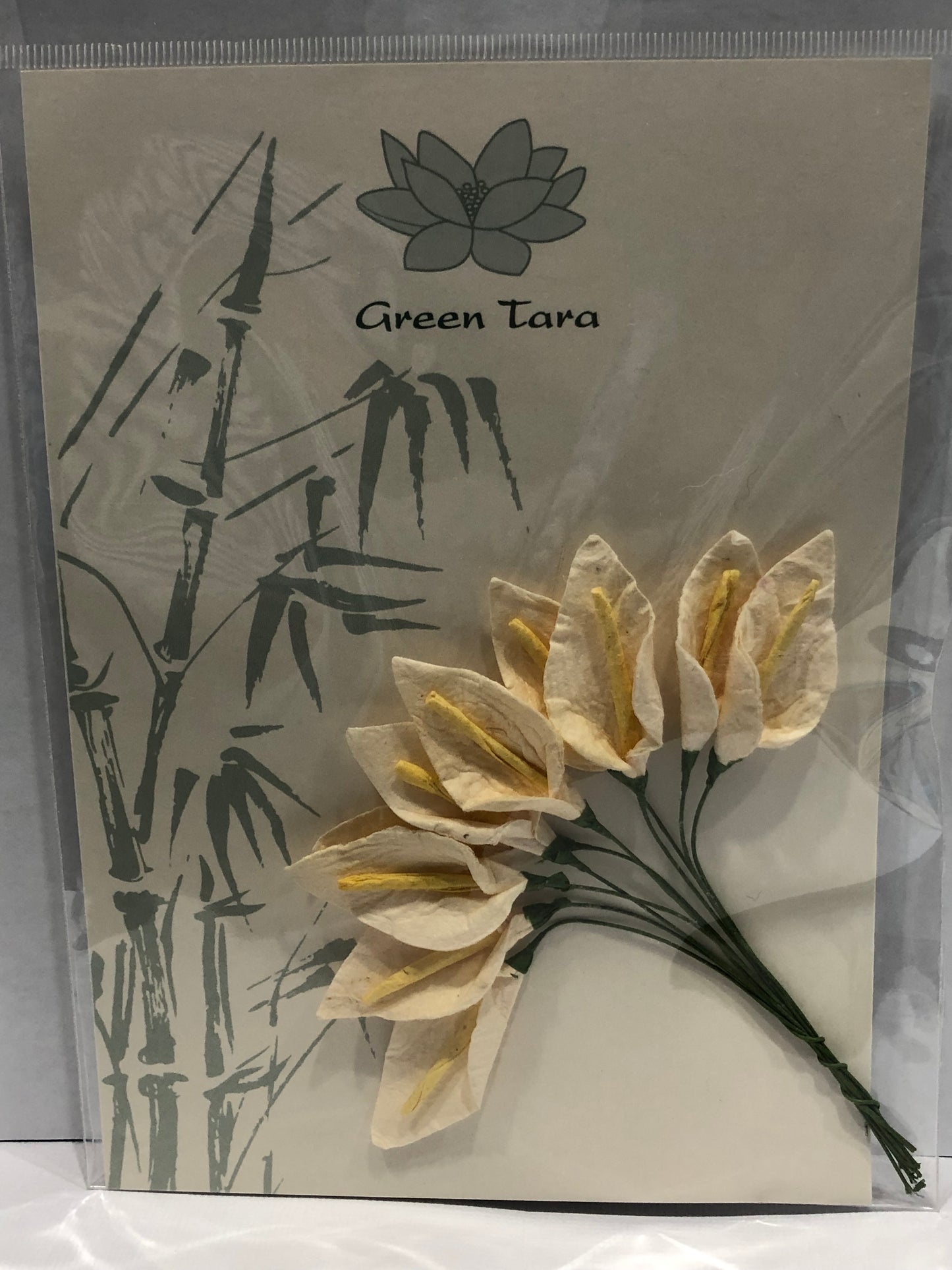 3CM IVORY LILLIES - 10 PACK - GREEN TARA