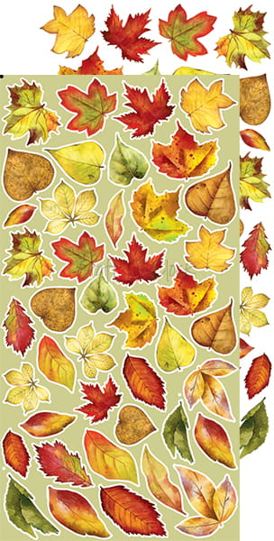 AUTUMN BEAUTY EXTRAS SET - FLOWERS - BY CRAFT O'CLOCK