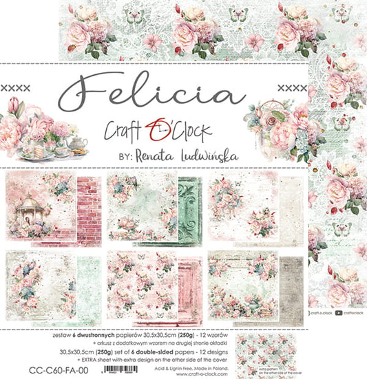 FELICIA CARDMAKING/SCRAPBOOKING PRODUCTS PACK