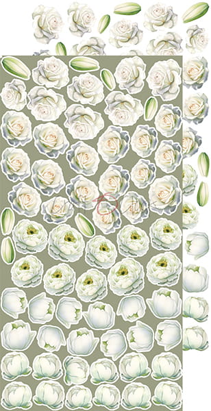 A DAY TO REMEMBER - FLOWERS - EXTRAS SET BY CRAFT O'CLOCK
