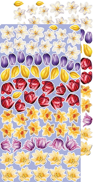 TULIP LOVE - FLOWERS - EXTRAS SET BY CRAFT O'CLOCK