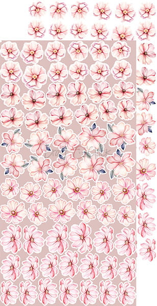 GIRL & CURL - FLOWERS & MY FIRST YEAR - EXTRAS SET BY CRAFT O'CLOCK