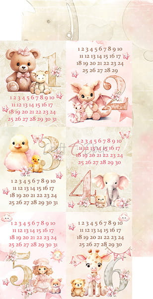 GIRL & CURL - FLOWERS & MY FIRST YEAR - EXTRAS SET BY CRAFT O'CLOCK
