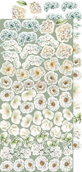 CHERISHED MEMORIES - FLOWERS & MORE  - EXTRAS SET BY CRAFT O'CLOCK