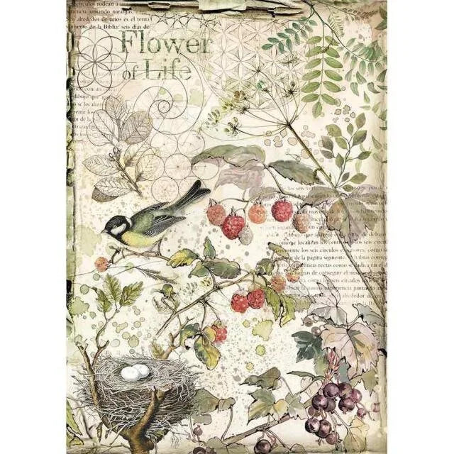 FOREST FLOWERS & FRUITS - A4 RICEPAPER BY STAMPERIA