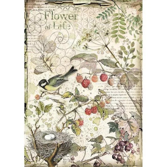FOREST FLOWERS & FRUITS - A4 RICEPAPER BY STAMPERIA