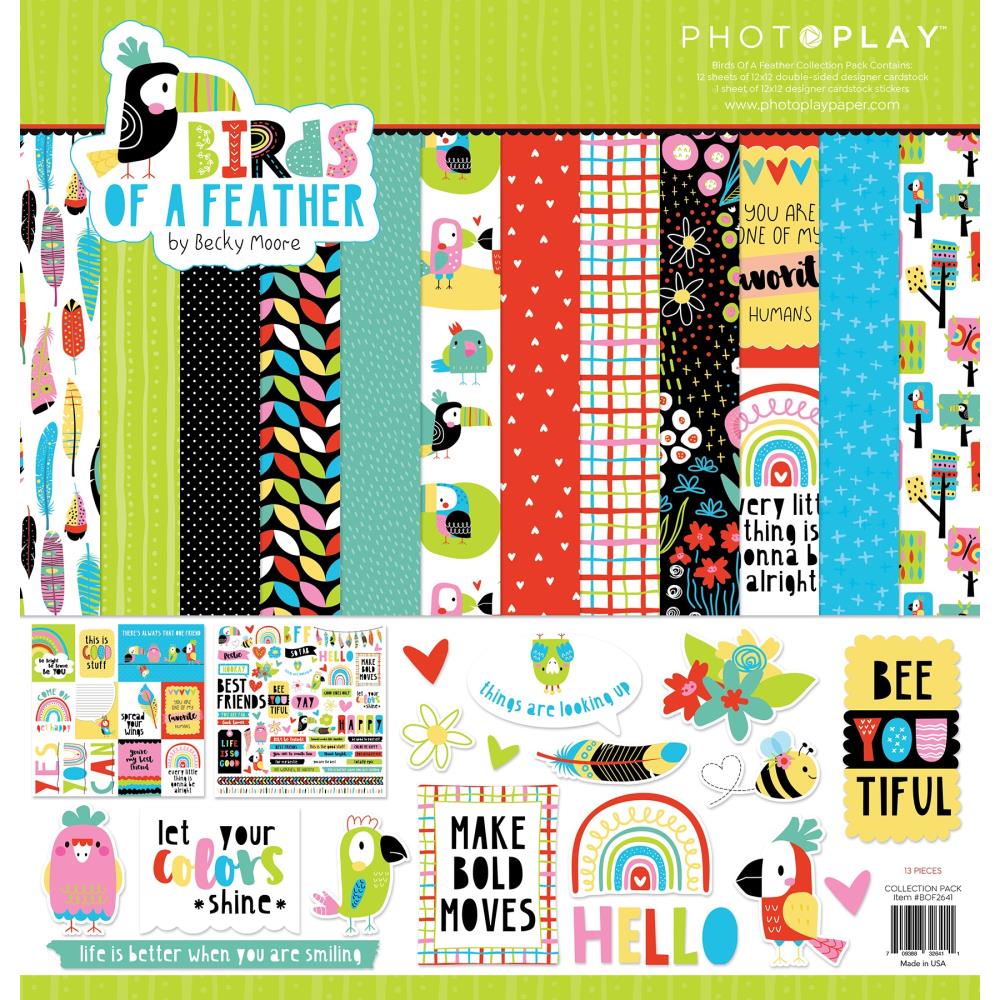 BIRDS OF A FEATHER 12" X 12" COLLECTION PACK BY PHOTOPLAY