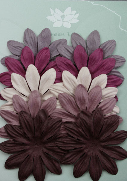 GREEN TARA 10 PETAL X 7CM FLOWER PACK - VARIOUS BERRY COLOURS