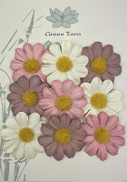 GREEN TARA 4CM SUMMER DAISIES 9 FLOWER PACK - PINK POSY