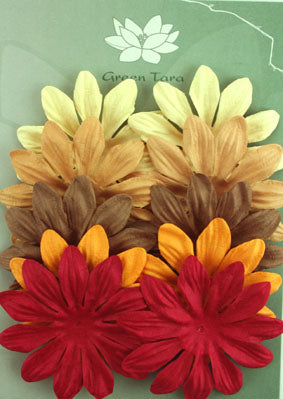 GREEN TARA 10 PETAL X 7CM FLOWER PACK - VARIOUS AUTUMN COLOURS