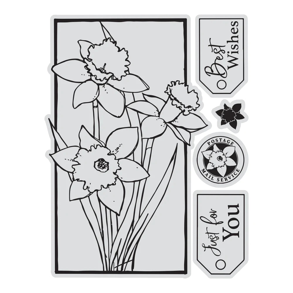 STAMP AND COLOUR OUTLINE STAMP SET - FRAMED DAFFODILS - BY COUTURE CREATIONS