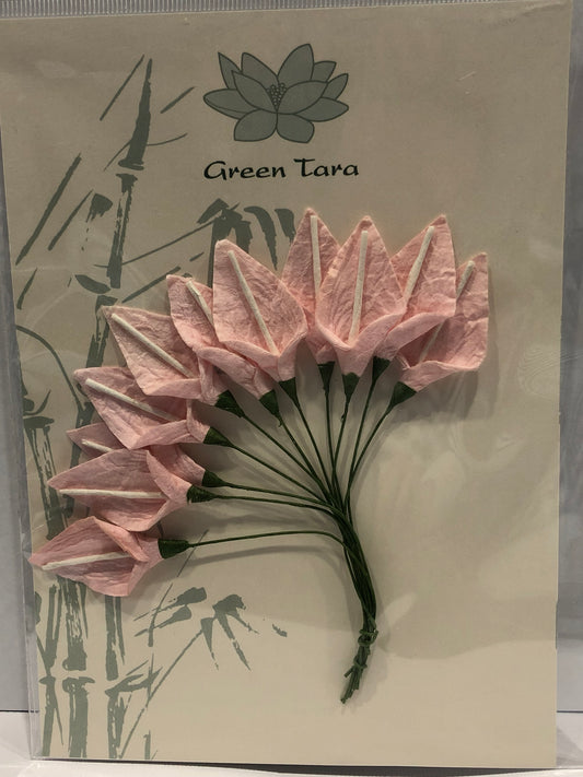 3CM PALE PINK LILLIES - 10 PACK - GREEN TARA