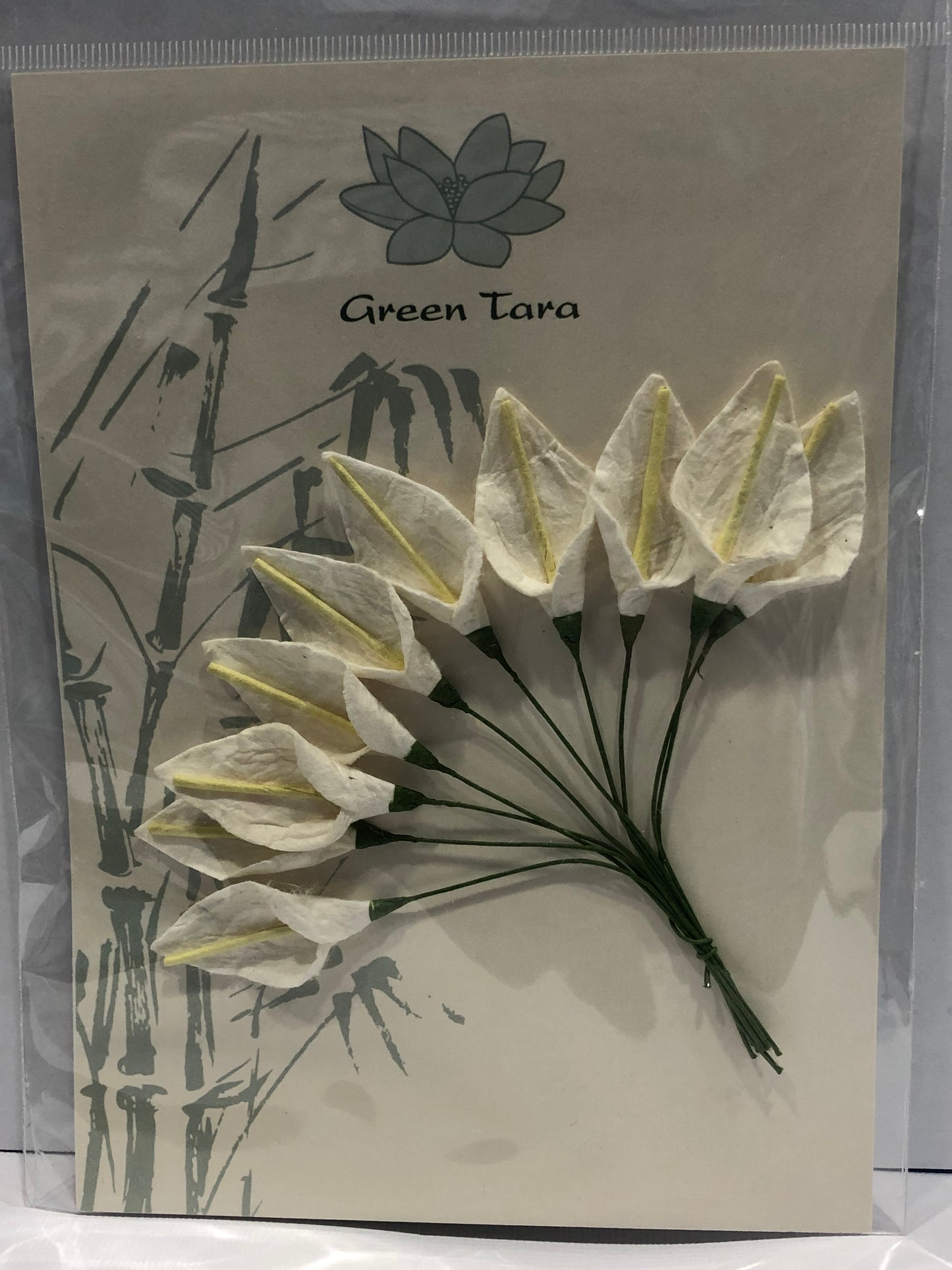 3CM WHITE LILLIES - 10 PACK - GREEN TARA