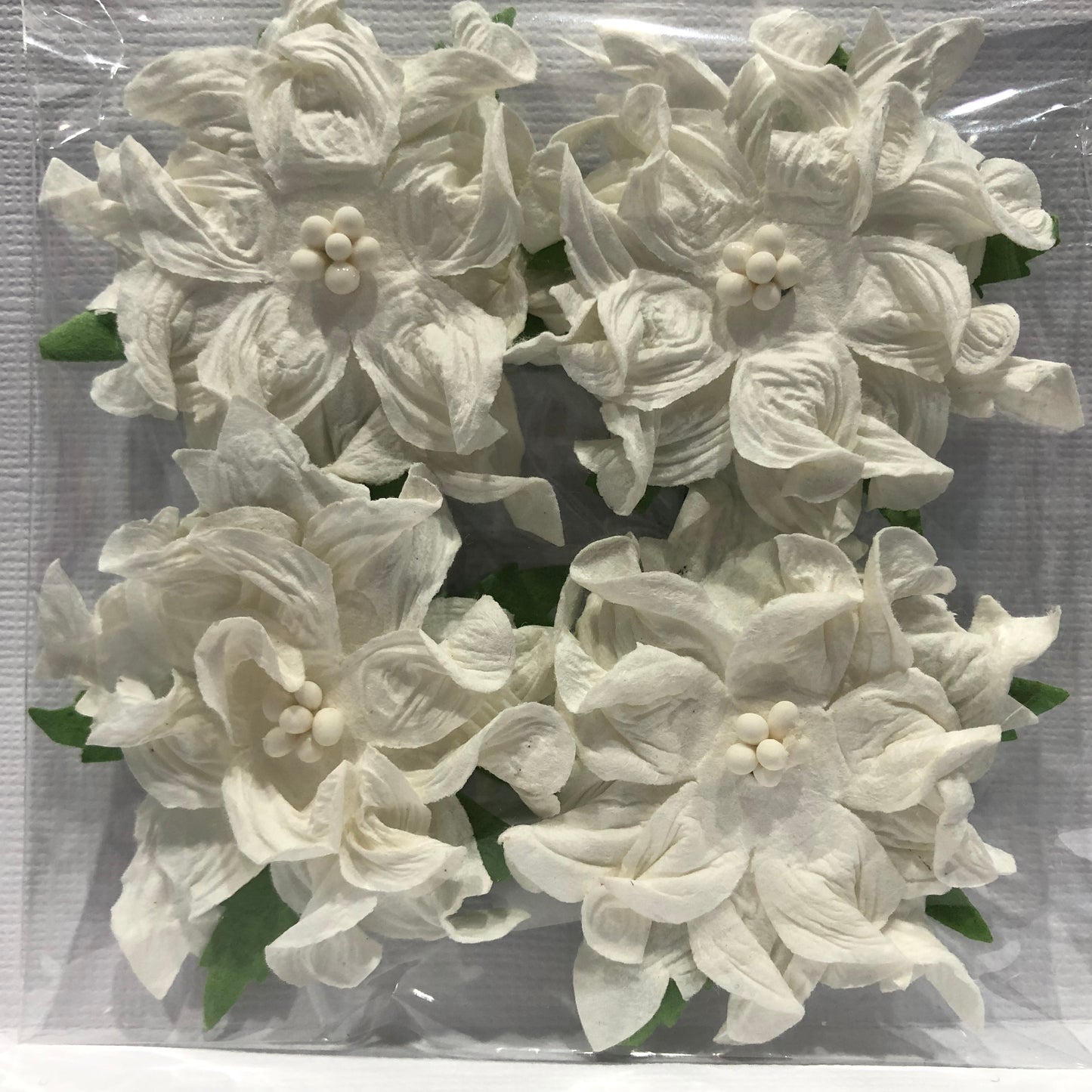 6CM WHITE GARDENIAS - 4 PACK - GREEN TARA