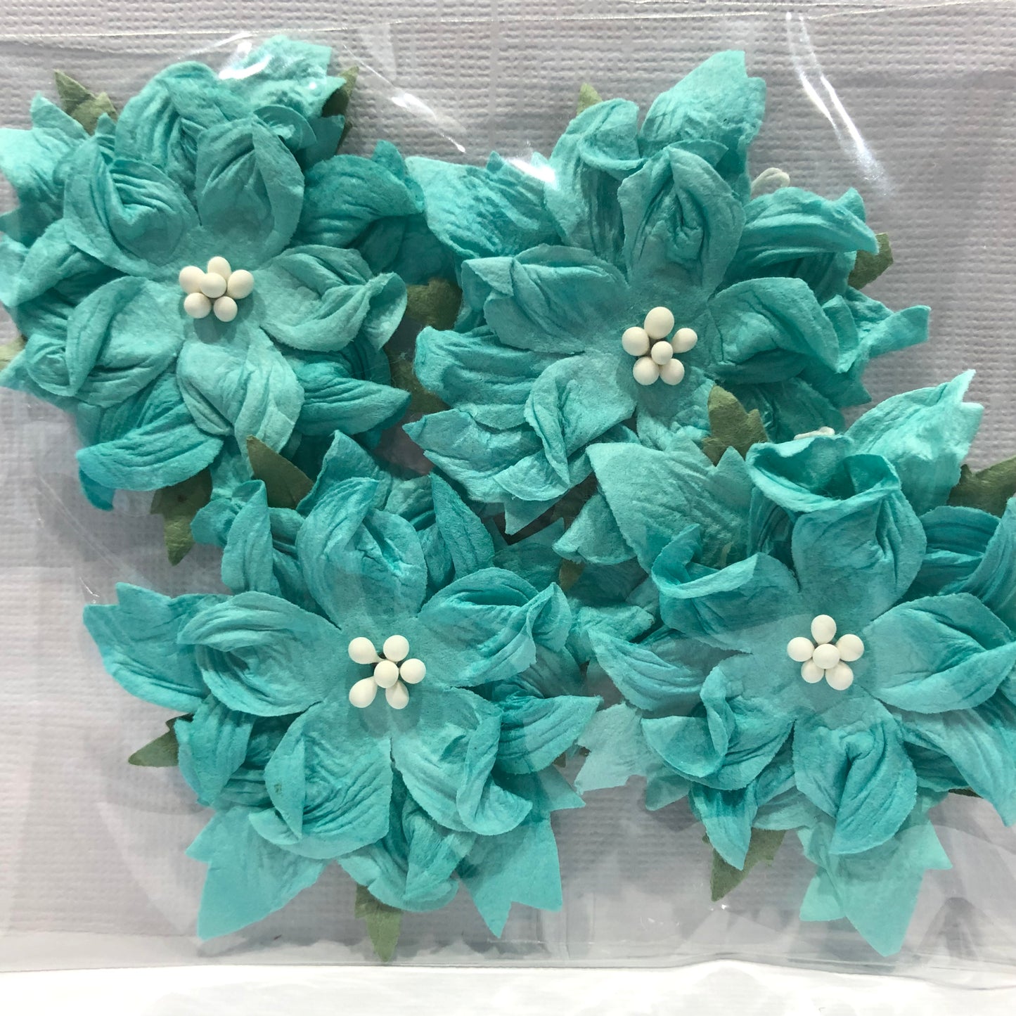 6CM TURQUOISE GARDENIAS - 4 PACK - GREEN TARA