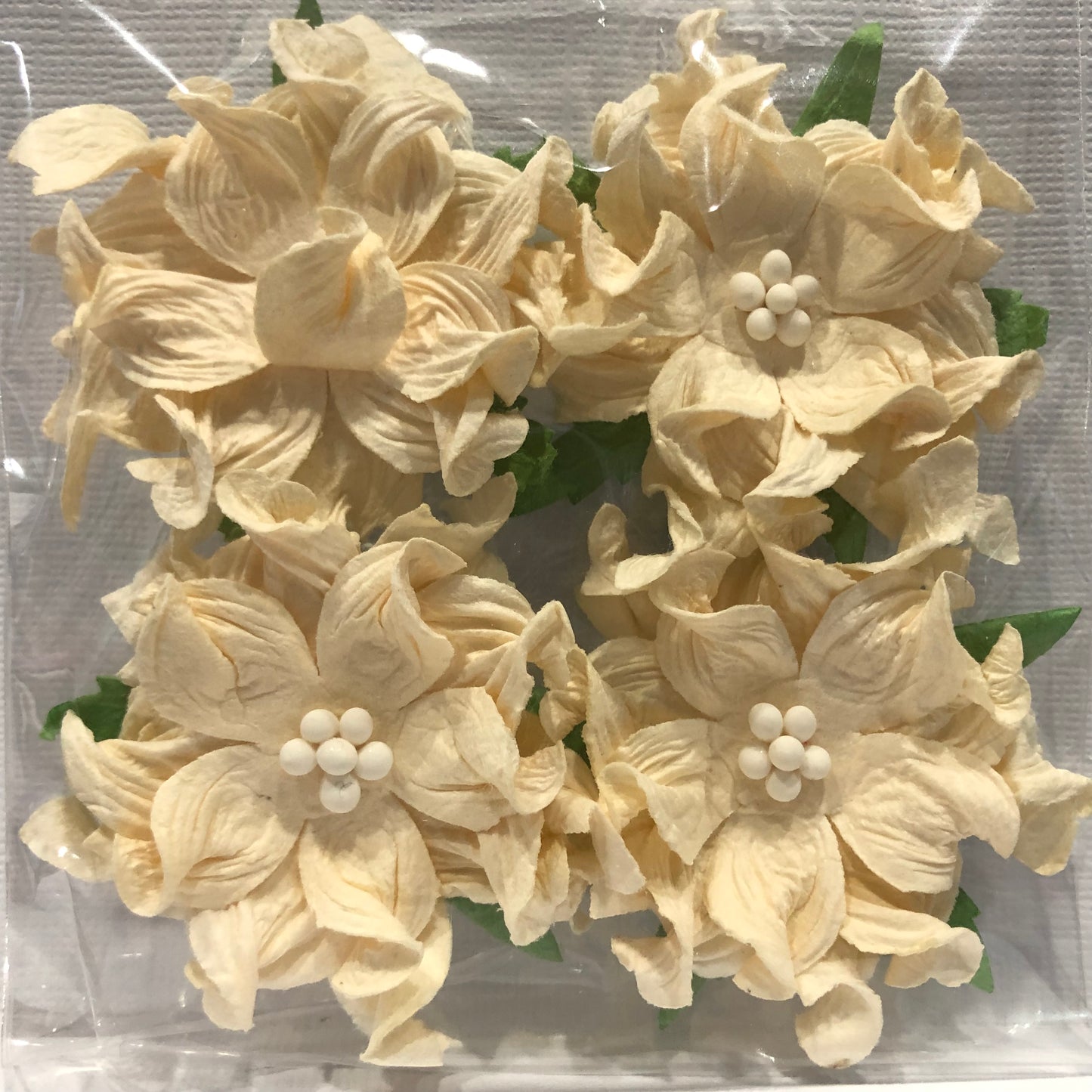 6CM CREAM GARDENIAS - 4 PACK - GREEN TARA