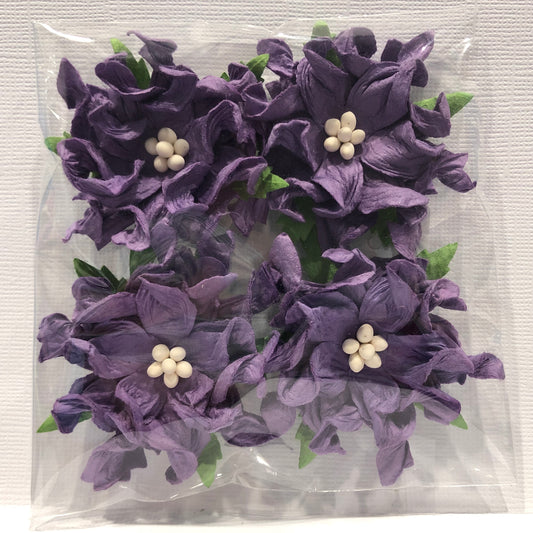 6CM PURPLE GARDENIAS - 4 PACK - GREEN TARA