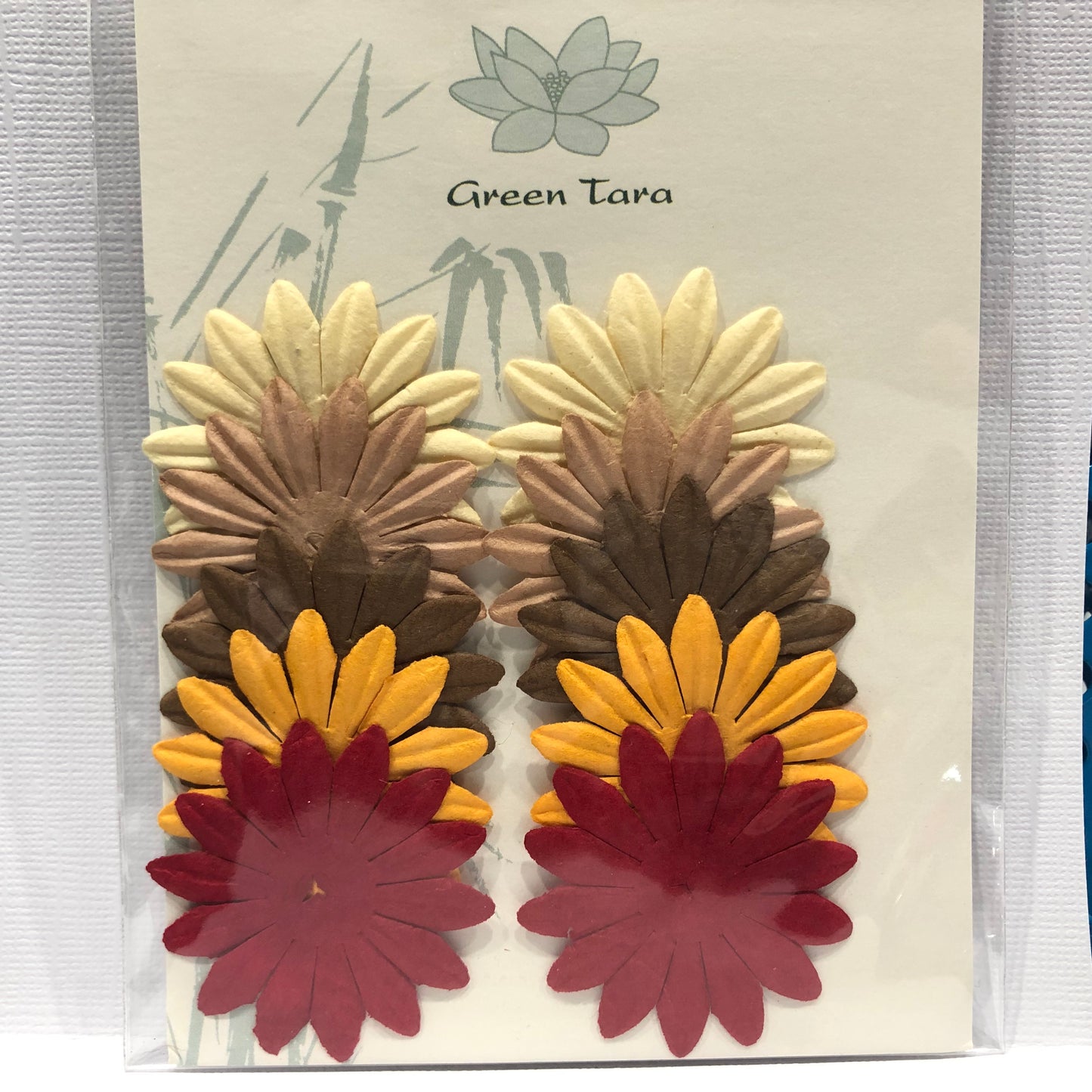 GREEN TARA 10 PETAL X 4CM FLOWER PACK - VARIOUS AUTUMN COLOURS