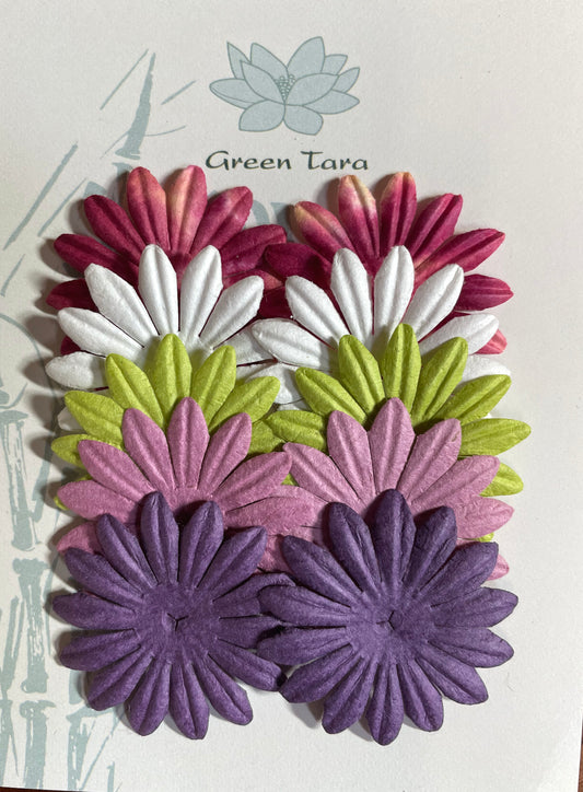 GREEN TARA 10 PETAL X 7CM FLOWER PACK - VARIOUS SPRING COLOURS