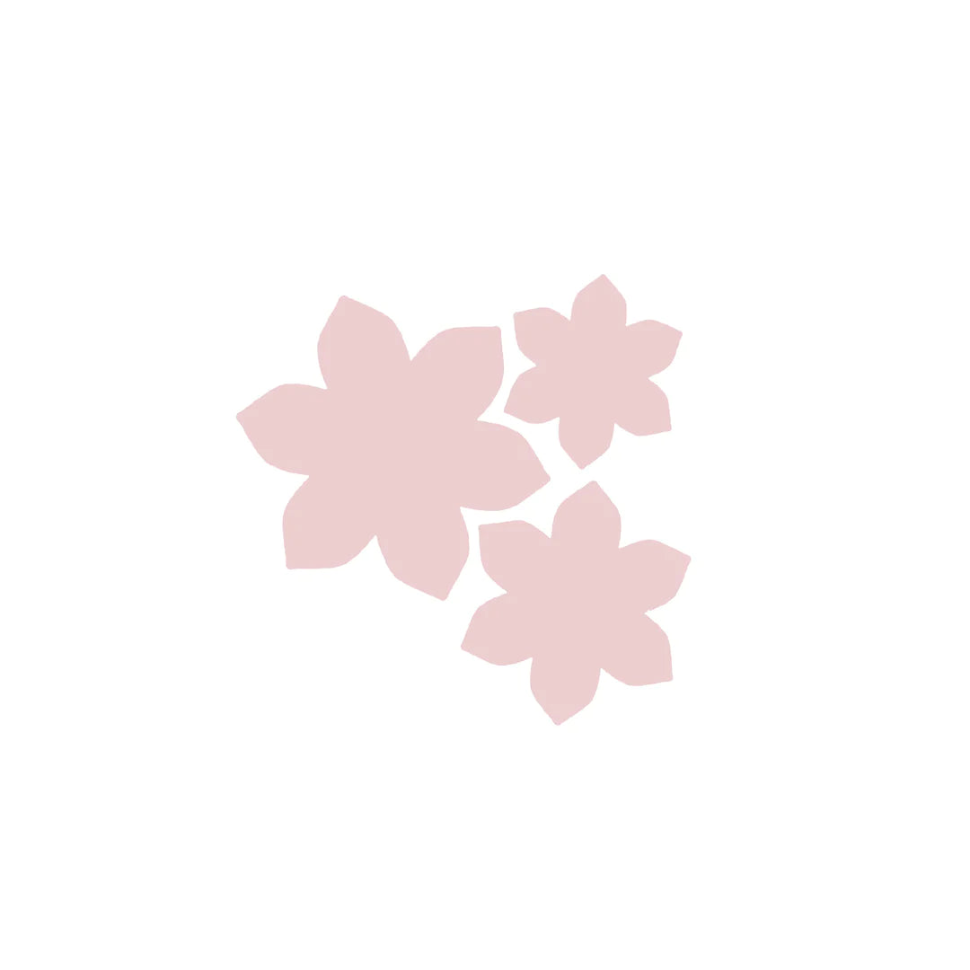 CHLOES CREATIVE CARDS DIE & STAMP SET - SUMMER FOLIAGE CORNER