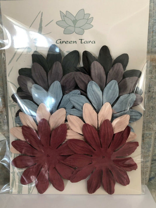 GREEN TARA 10 PETAL X 7CM FLOWER PACK - VARIOUS WINTER COLOURS